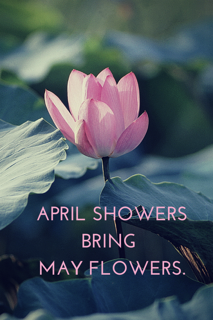 April showers bring forth May flowers.